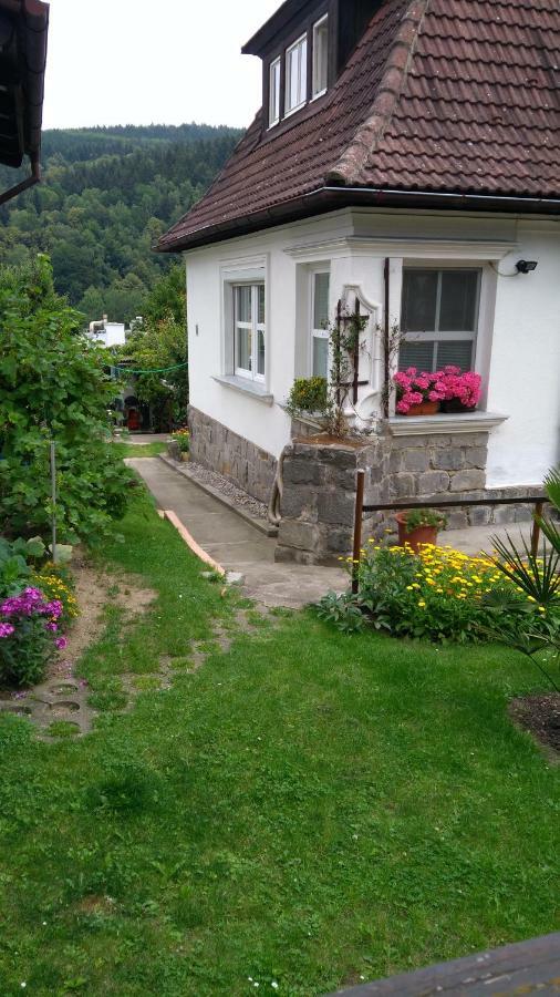 Byt - Apartman Appartement Větřní Buitenkant foto