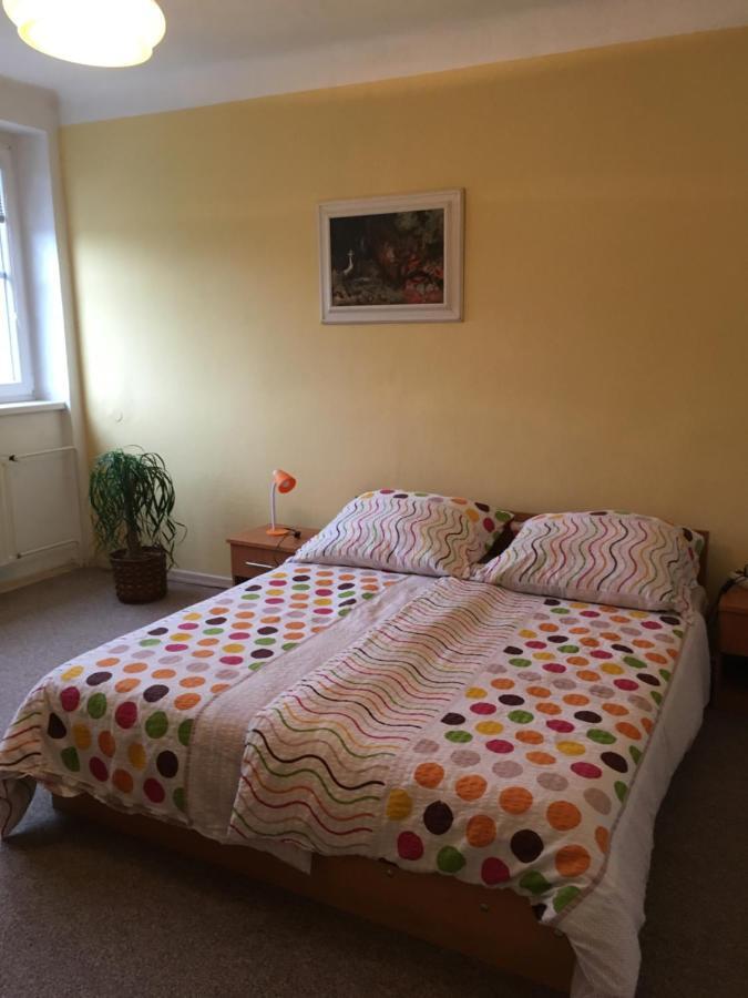 Byt - Apartman Appartement Větřní Buitenkant foto